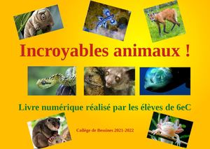Incroyables animaux 6eC