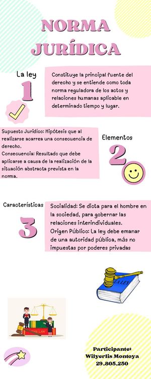 Infografia Norma Jurídica