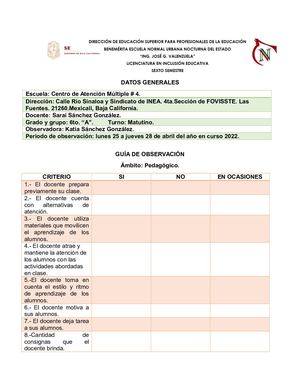 Guía De Observación Cam 4 Corregida