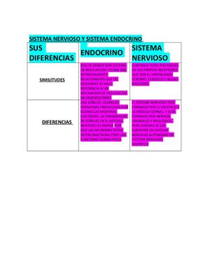 Sistema Endocrino Y Nervioso