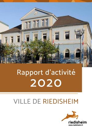 Rapport D'activité 2020