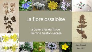 Flore Ossaloise
