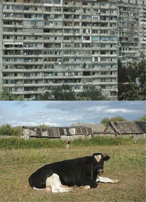 Вдали от городов: антропология русской деревни