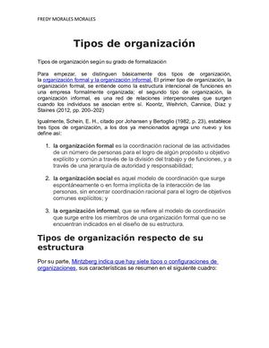 Tipos De Organización