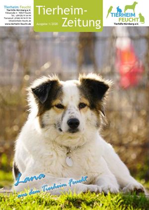 Tierheimzeitung 2020-1