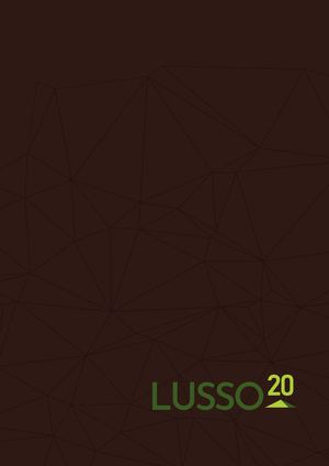 Lusso20 Outdoor Porcelain Tiles June-2022