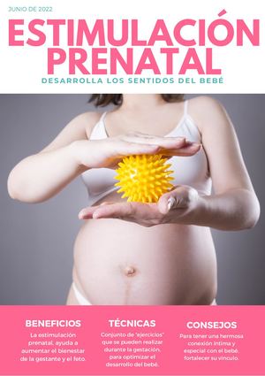 Revista Estimulación Prenatal