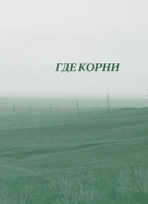 где корни / каталог