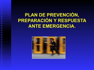 Pauta Elaboracion Plan Emergencia Y Contingencia