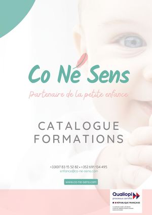 Catalogue Formations Co Ne Sens