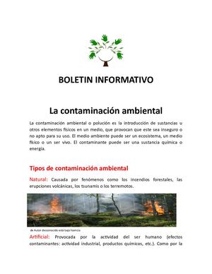 Boletín Informativo