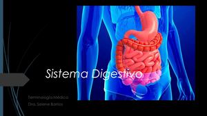 Sistema Digestivo
