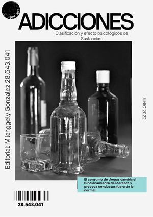 Revista sobre clasificaciones y efectos de la adiccion