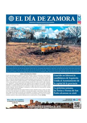 El Día de Zamora nº 403