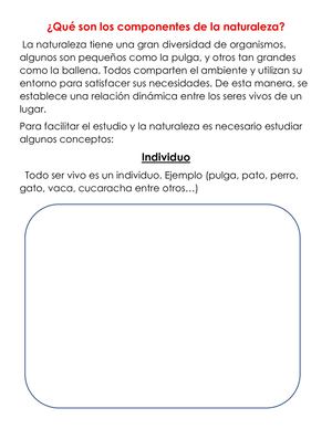 ¡Qué Son Los Componentes De La Naturaleza!