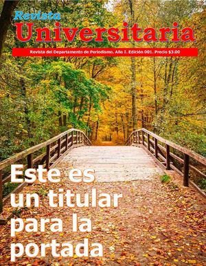 REVISTA UNIVERSITARIA