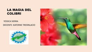 La Magia Del Colibri