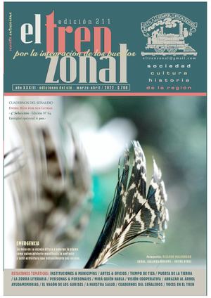 El Tren Zonal Nº 211