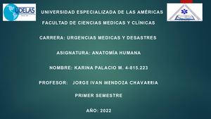 Portafolio Digital Anatomia