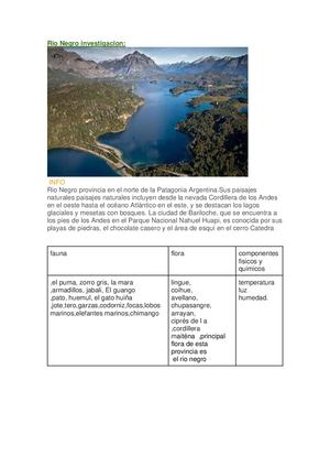 Rio Negro Investigacion