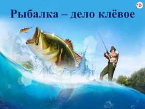 Выбор верш рыболовных: виды, особенности и советы