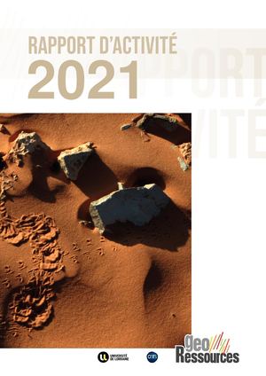 Rapport d'activité 2021 GeoRessources