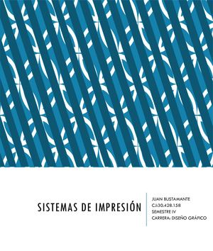 Elementos De Los Sistemas De Imprecion