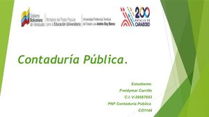 Mapa Mental De Contaduría Pública Y Líneas De Investigación