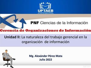 La Naturaleza Del Trabajo Gerencial En La Organización De Información