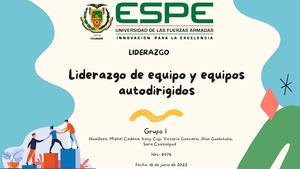 Liderazgo De Equipo Y Equipos Autodirigidos