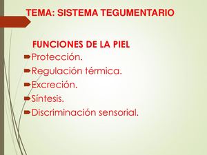 Laminario Sistema Tegumentario