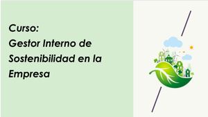 Flyer Curso De Gestor Interno De Sostenibilidad en Empresas