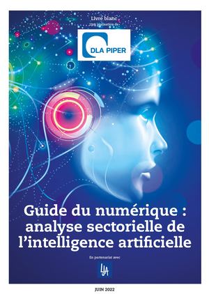 Livre blanc DLA PIPER - LJA