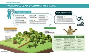 Modalidades Aprovechamiento