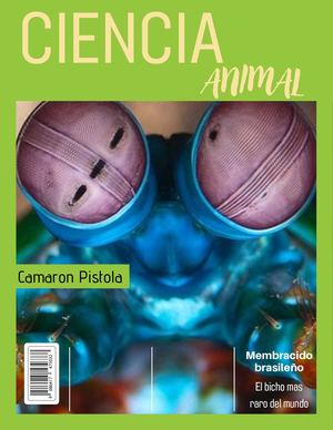 Es Más Conocido Como Membrácido Brasileño, Y Se Caracteriza Por Llevar Una Vida Plácida Y Solitaria Entre Las Hojas De La Planta De La Gloria Su Aspecto Es Amenazador Pero Inocuo Para El Ser Humano Y Es (1)