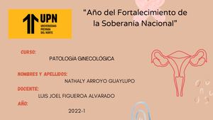 Portafolio de Patología Ginecológica