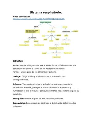 Sistema Respiratorio Jelissa Mosquera
