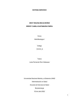 SISTEMA NERVIOSO