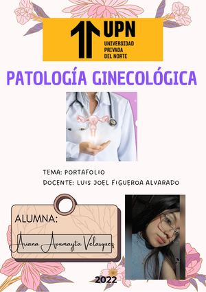 Portafolio Pg, Apumayta Velasquez Ariana