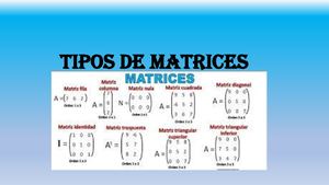 Tipos De Matrices