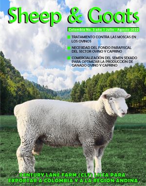Sheep And Goats #3