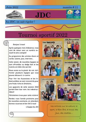 Jdc n° 11 ALAE Castenau d'Auzan Labarrere