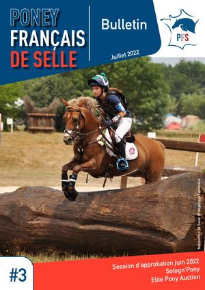 Bulletin d'information - juillet 2022