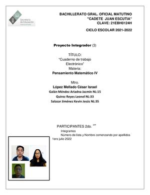Proyecto Integrador (33