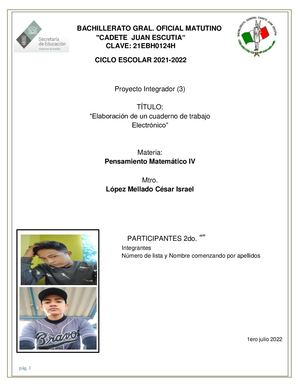 Proyecto Integrador (3)