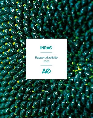 Rapport d'activité 2021