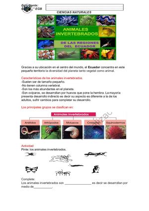 Animales Invertebrados