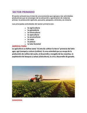 REVISTA SECTORES ECONOMICOS