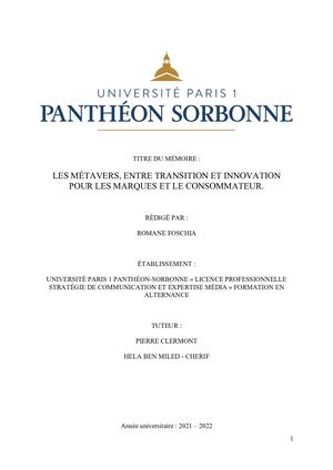 Mémoire Romane Foschia - Métavers, Entre Transition Et Innovation Pour Les Marques Et Le Consommateur