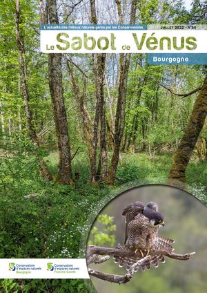 Sabot de Vénus 54 en Bourgogne